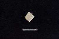 藏品(陶片)的圖片